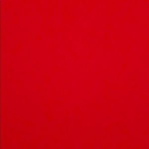 Meet your Posher, Alissa